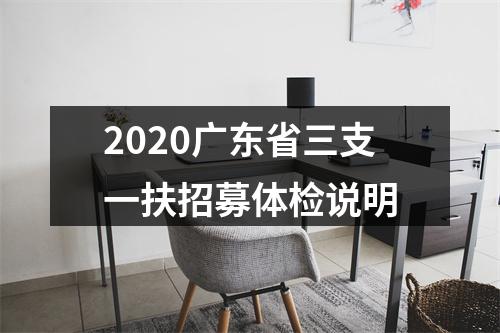 2020广东省三支一扶招募体检说明 图片