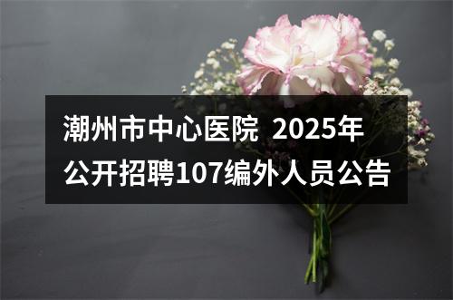 潮州市中心医院  2025年公开招聘107编外人员公告 图片