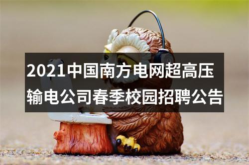2021中国南方电网超高压输电公司春季校园招聘公告 图片